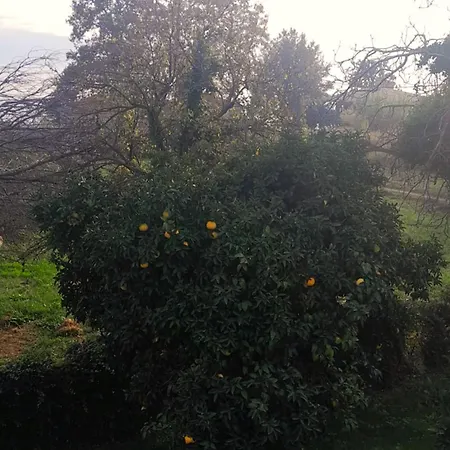 Pelion Malaki- Casa * Malaki