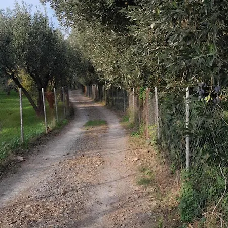 Pelion Malaki- Casa *