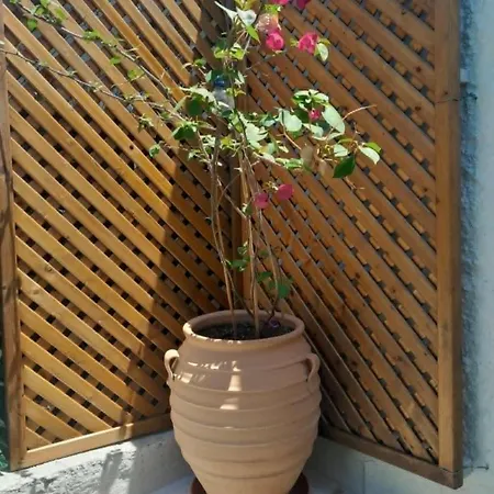 Pelion Malaki- Casa *